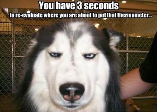 100-funniest-movies-ever-5_med_hr