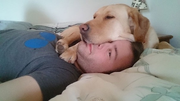 24-dogs-being-assholes
