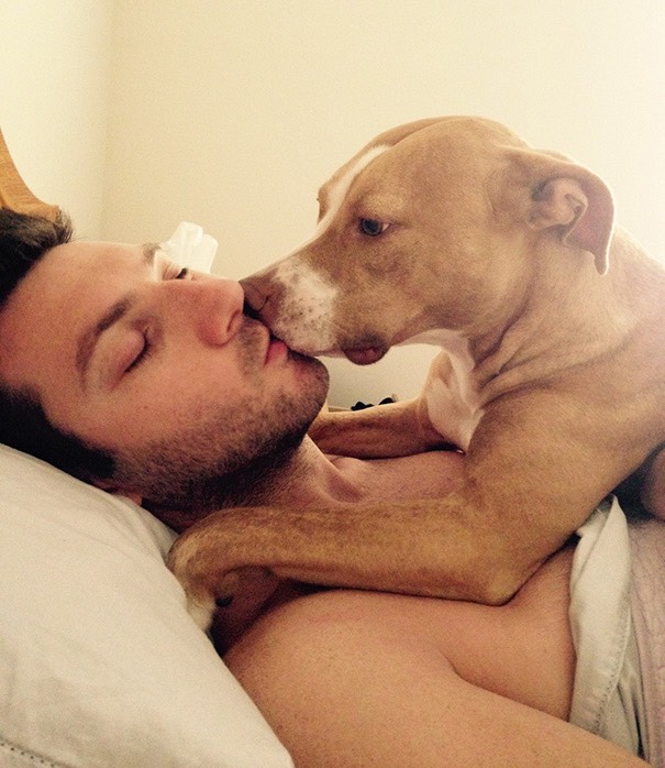 27-dogs-being-assholes