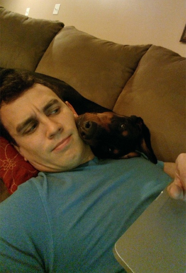 29-dogs-being-assholes