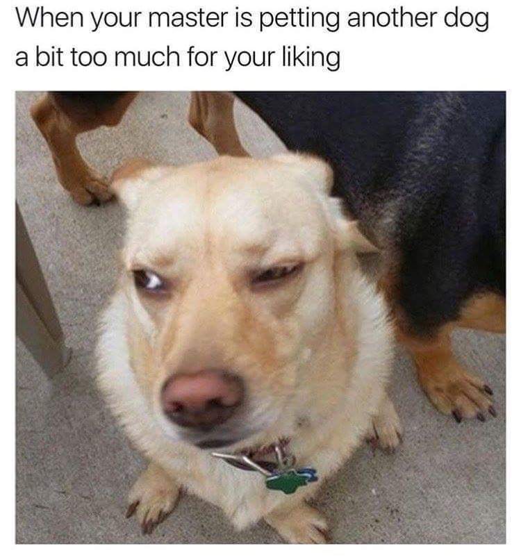 597c463b86287_med_hr