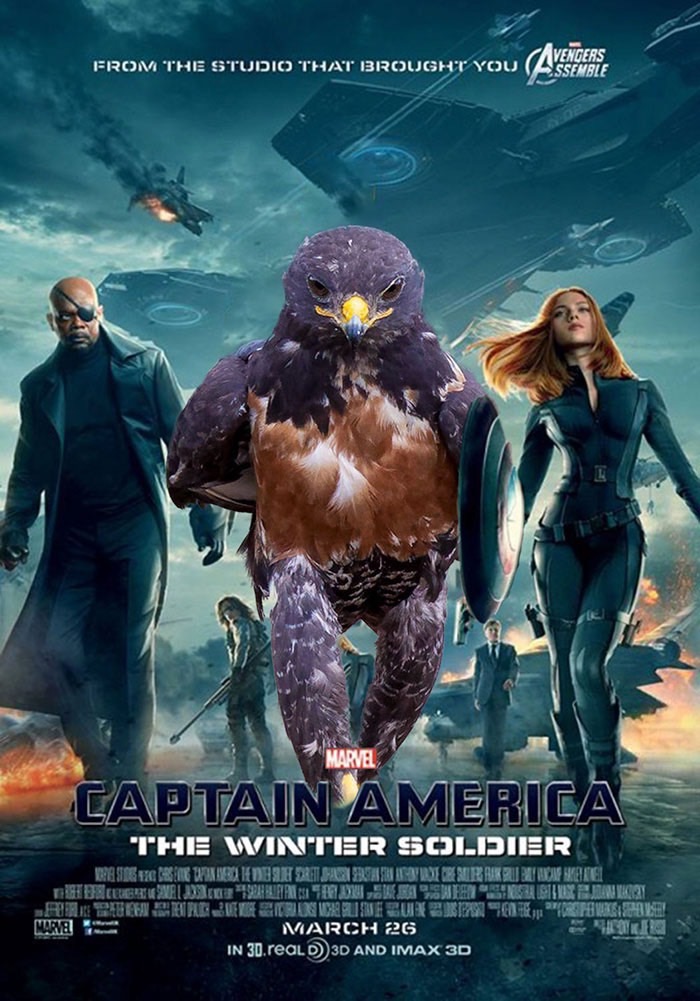 ad-funny-hawk-photoshop_med_hr-12