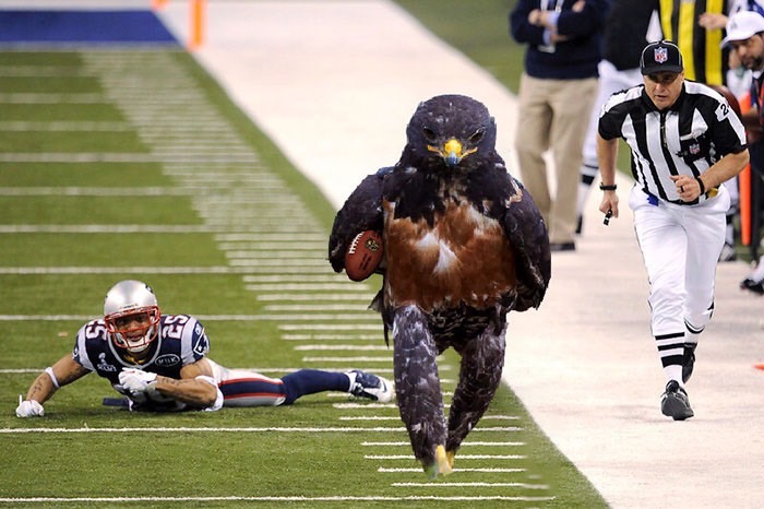 ad-funny-hawk-photoshop_med_hr-20