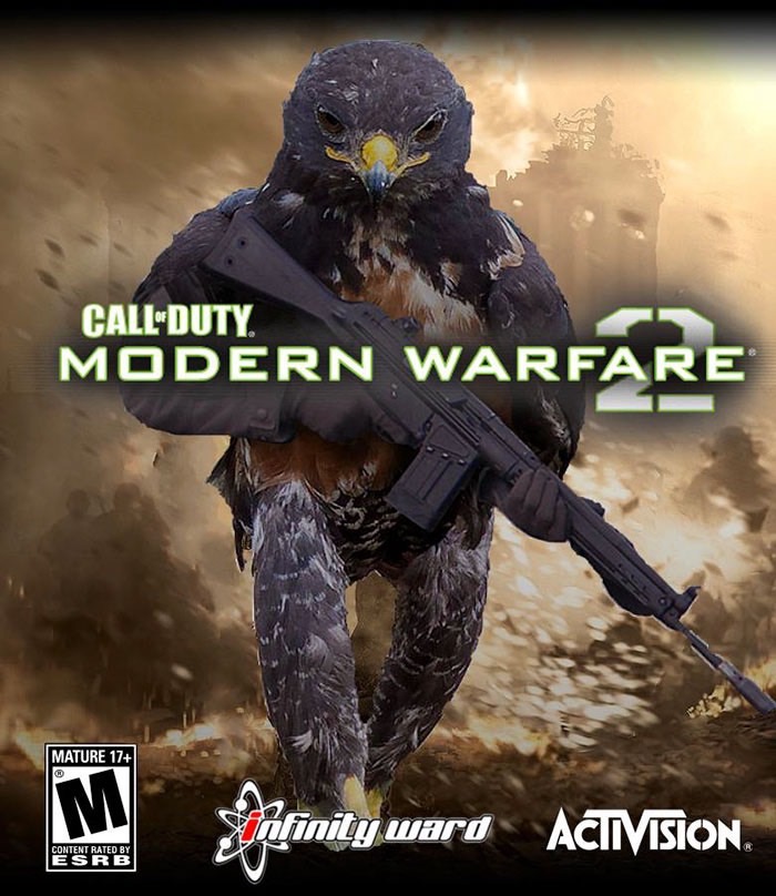 ad-funny-hawk-photoshop_med_hr-23