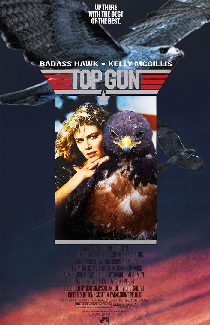 ad-funny-hawk-photoshop_med_hr-24