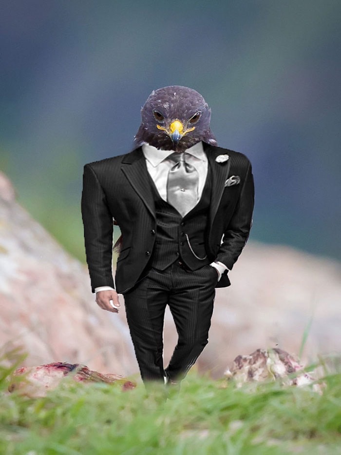 ad-funny-hawk-photoshop_med_hr-28