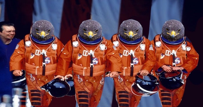 ad-funny-hawk-photoshop_med_hr-29