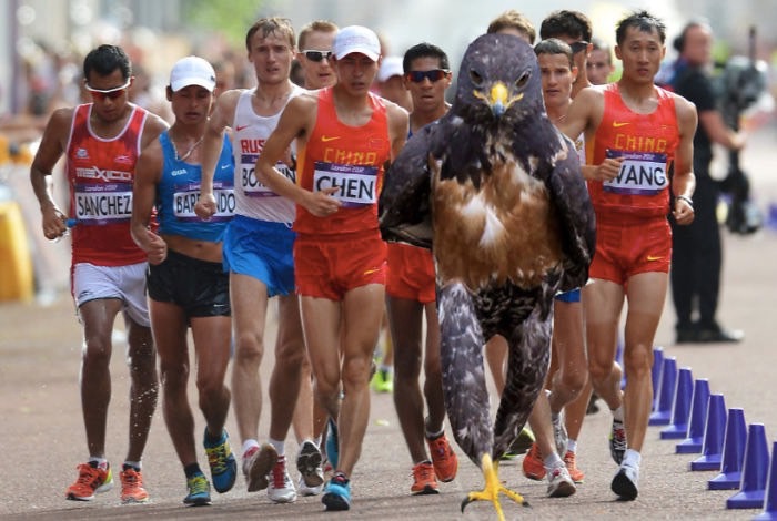 ad-funny-hawk-photoshop_med_hr-31