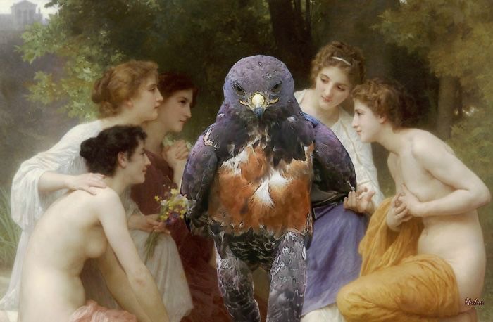 ad-funny-hawk-photoshop_med_hr-32