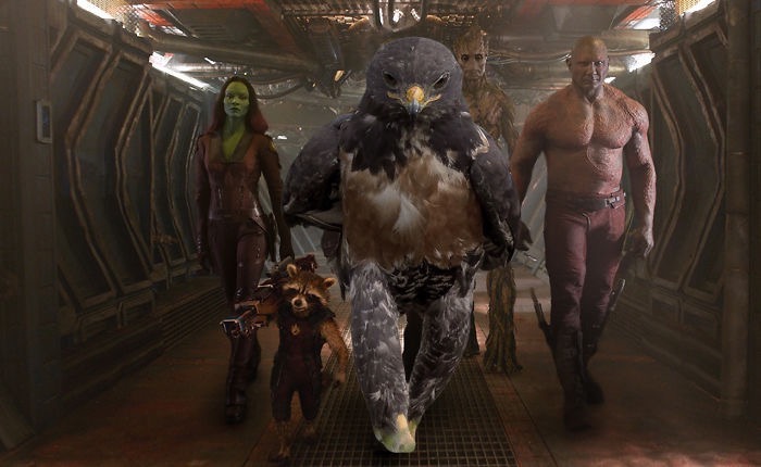 ad-funny-hawk-photoshop_med_hr-38