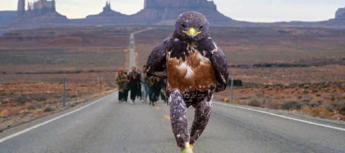 ad-funny-hawk-photoshop_med_hr-42