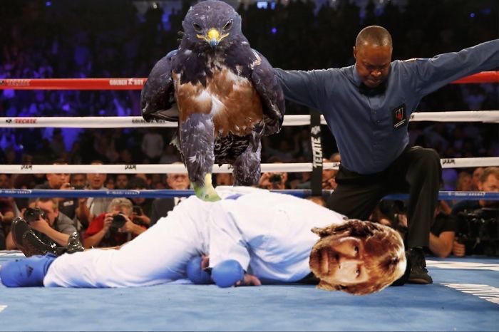 ad-funny-hawk-photoshop_med_hr-46