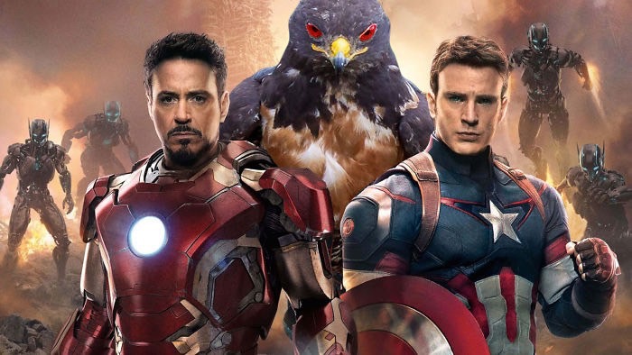 ad-funny-hawk-photoshop_med_hr-47