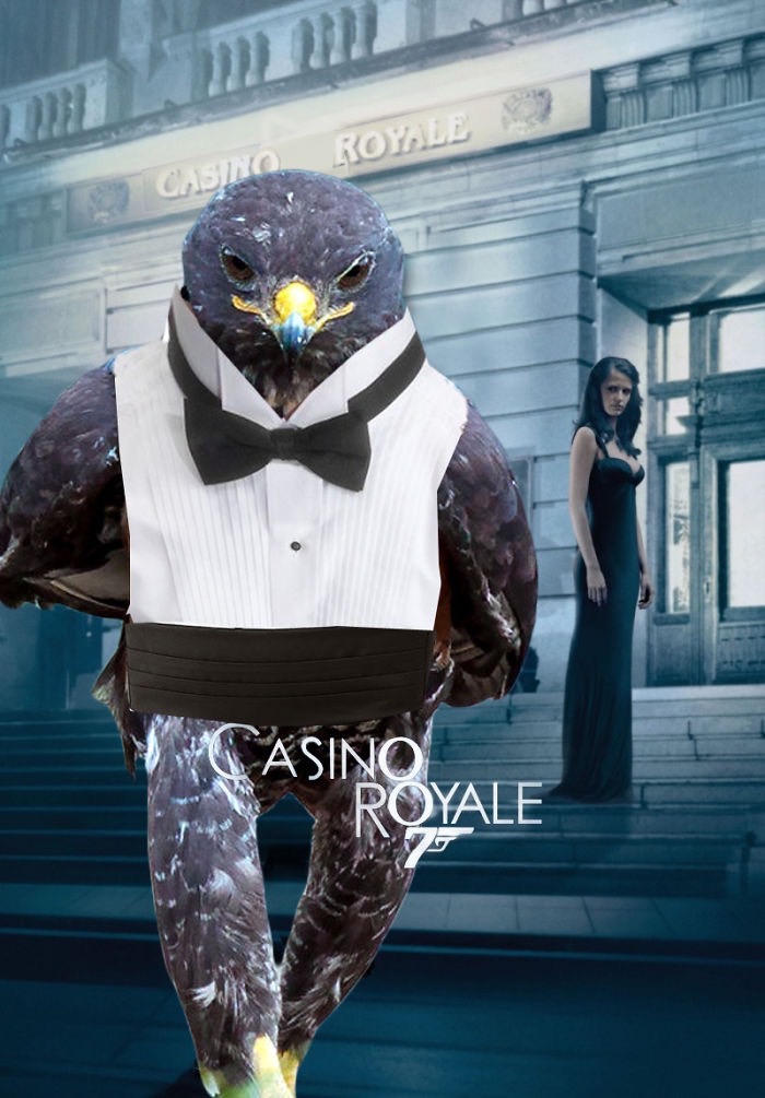 ad-funny-hawk-photoshop_med_hr-49