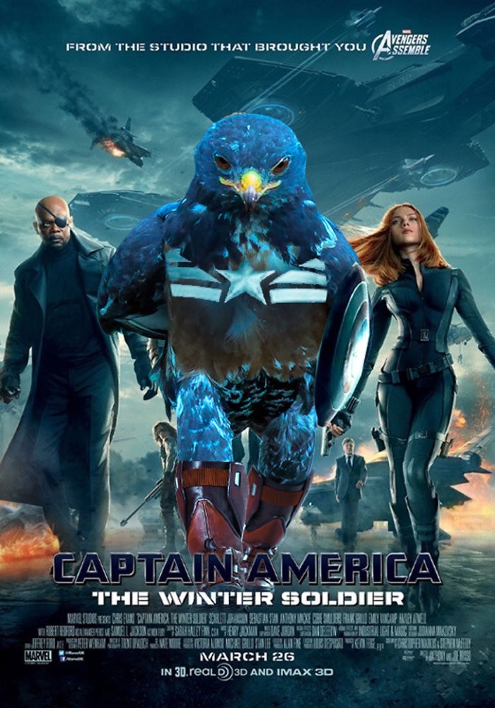 ad-funny-hawk-photoshop_med_hr-50