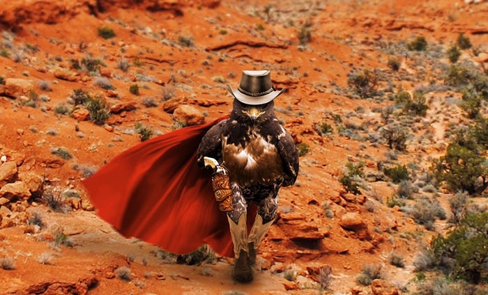 ad-funny-hawk-photoshop_med_hr-5