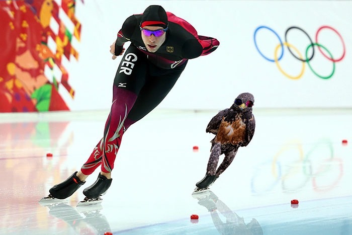 ad-funny-hawk-photoshop_med_hr-7