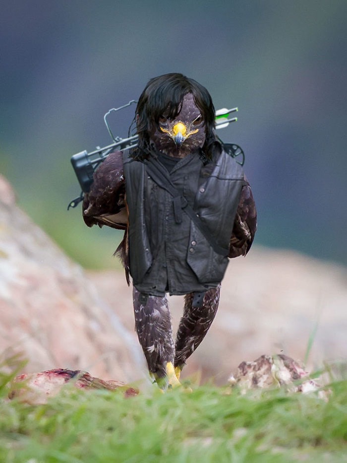 ad-funny-hawk-photoshop_med_hr-8