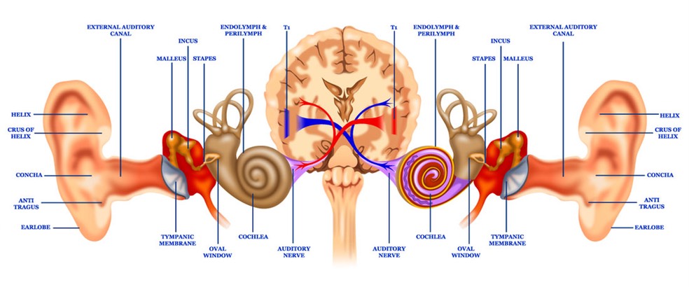 binaural-hearing-aids-and-accessories