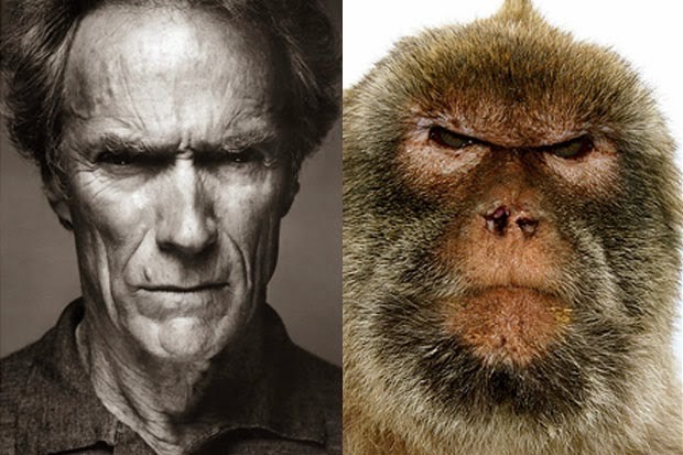 celebrity-animal-look-alike_med_hr