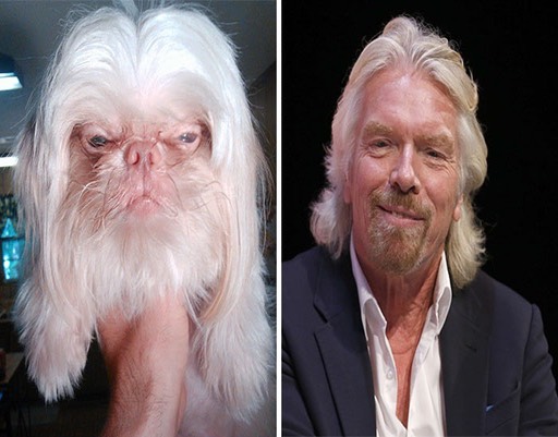 celebrity-look-alikes-anima_med_hr-3