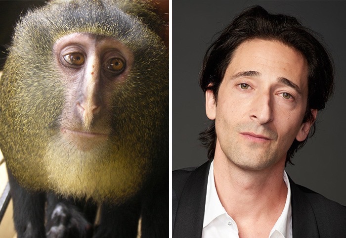 celebrity-look-alikes-anima_med_hr-2