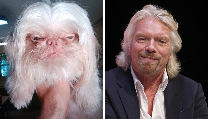 celebrity-look-alikes-anima_med_hr-3