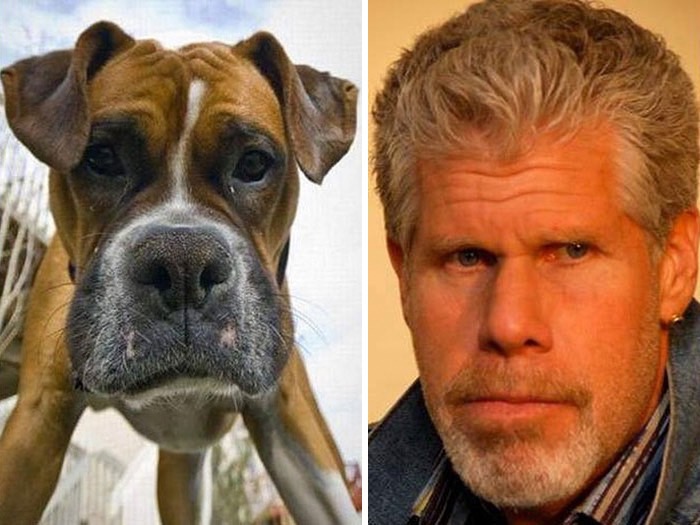 celebrity-look-alikes-anima_med_hr-4
