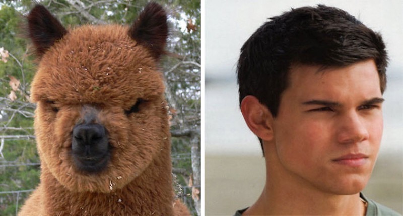 celebrity-look-alikes-anima_med_hr-5