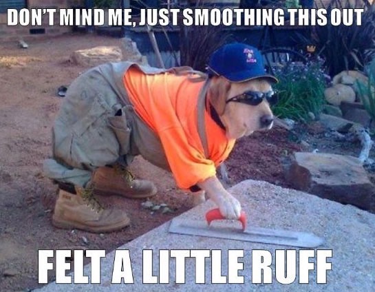 computer-dog-meme-3_med_hr