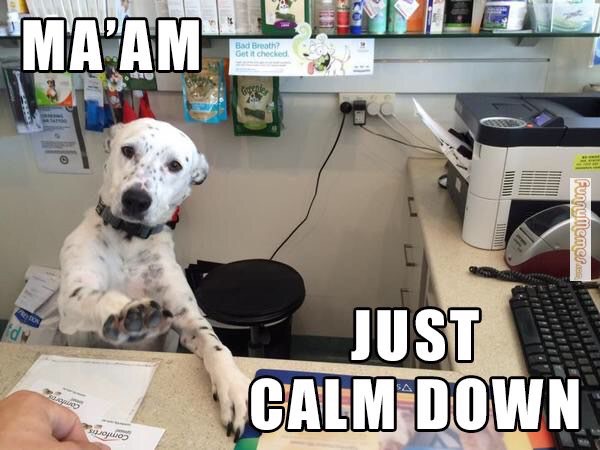 computer-dog-meme-5_med_hr