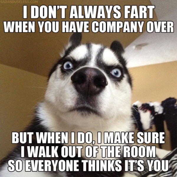 funniest-captions-of-all_med_hr