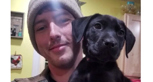 man-and-dog
