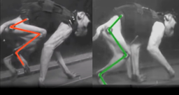 MS Videos