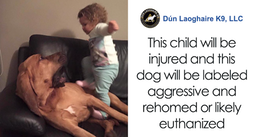 parents-teach-kids-pet-respect-fb7