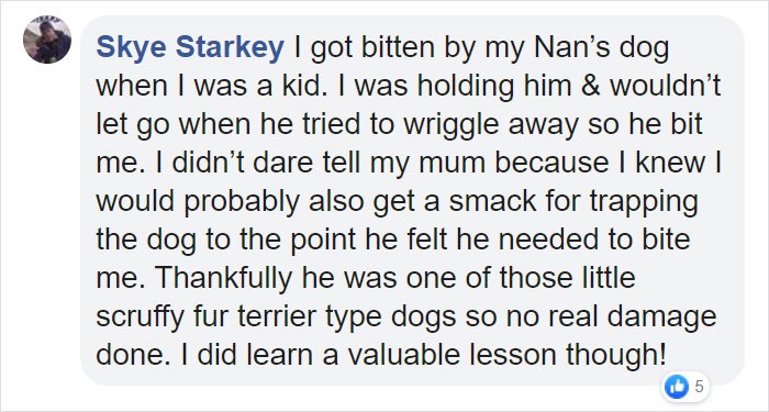 parents-teach-kids-pet-respect-20-5e42626c92b98__700