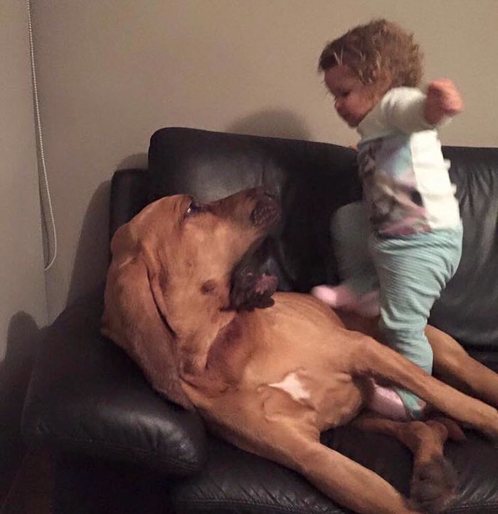 parents-teach-kids-pet-respect-2-5e426250285a6__700