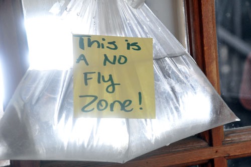 plastic-bag-fly-penny2008
