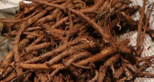root_med_hr